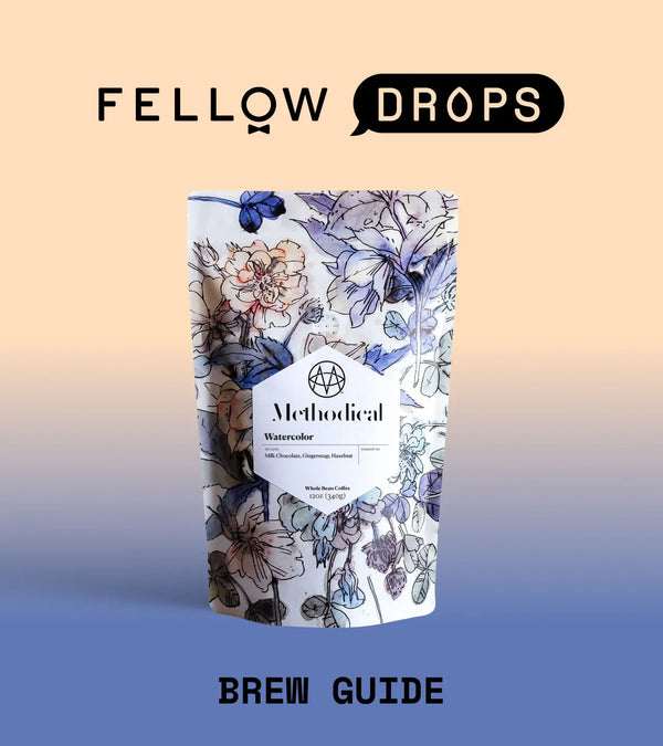Fellow's Take on Watercolor by Methodical | Brew Recipe | Fellow
