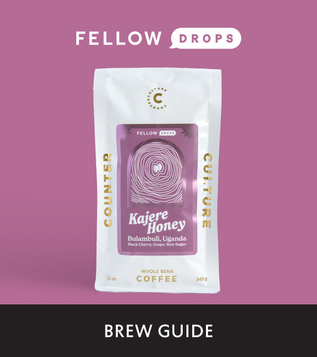 Fellow's Take on Kajere Honey by Counter Culture | Brew Guide