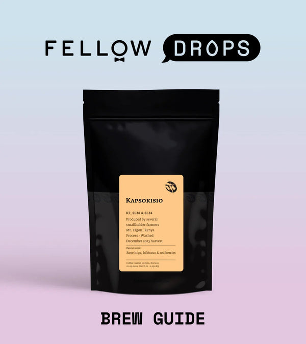 Fellow's Take on Kenya Kapsokisio by Tim Wendelboe | Brew Recipe | Fellow