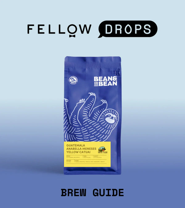 Fellow's Take on Santa Felisa by Bean & Bean | Brew Recipe | Fellow