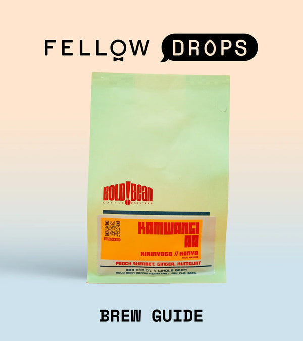 Fellow's Take on Bold Bean Kenya Kamwangi AA | Brew Recipe | Fellow