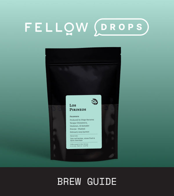 Fellow's Take on Los Pirineos Pacamara by Tim Wendelboe | Brew Recipe