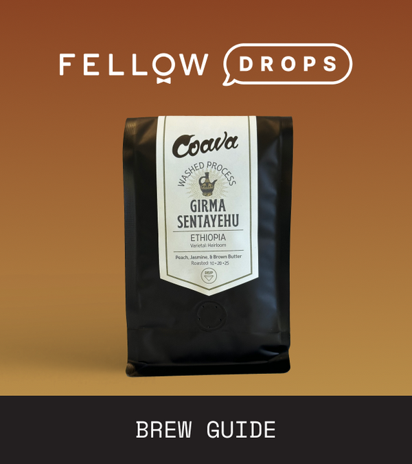 Fellow's Take on Coava Coffee Roasters Ethiopia Girma Sentayehu | Brew Recipe