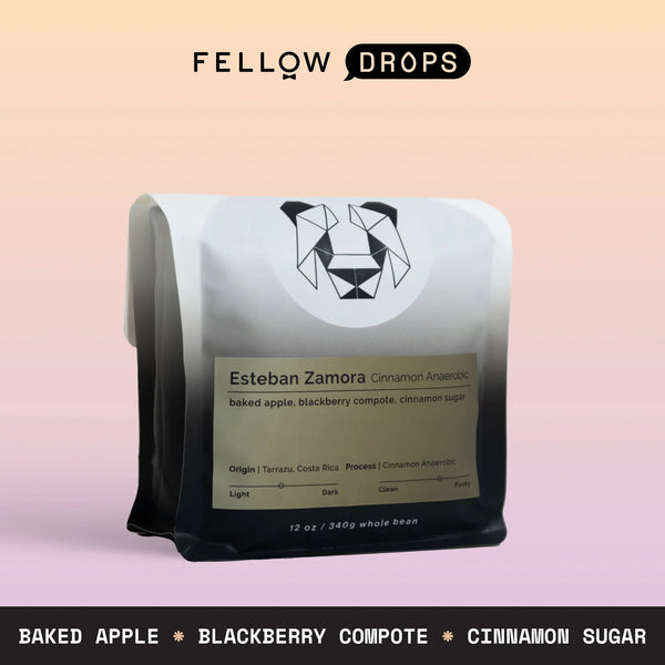 Fellow's Take on Black & White - Esteban Zamora Cinnamon Anaerobic | Brew Recipe | Fellow