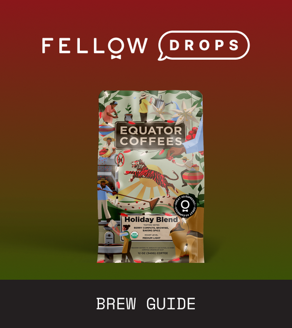 Fellow's Take on Equator Holiday Blend | Brew Recipe