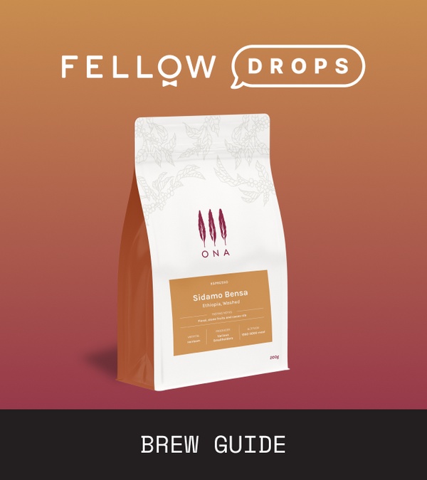 Fellow's Take on Ethiopia Sidamo Bensa by ONA | Brew Recipe