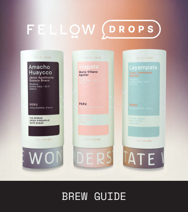 Fellow's Take on Wonderstate Peru Gesha Inka SL9 Box | Brew Recipe