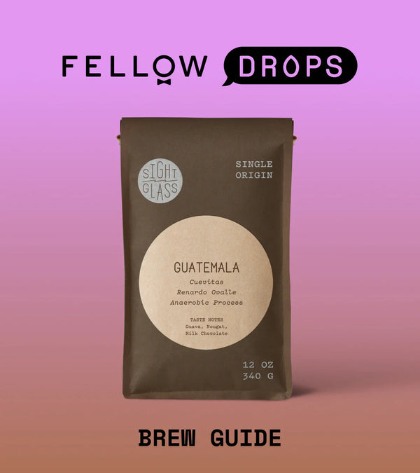 Fellow's Take on Guatemala Cuevitas Anaerobic | Brew Recipe | Fellow
