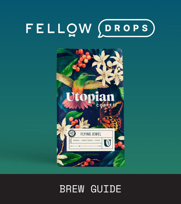 Fellow's Take on Flying Jewel by Utopian | Brew Recipe