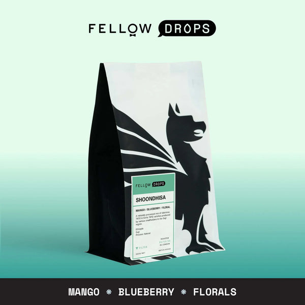 Fellow's Take on Square Mile Shoondhisa | Brew Recipe | Fellow