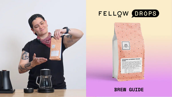 Fellow's Take on Maximino Gutiérrez Tejada by Monogram | Brew Recipe | Fellow