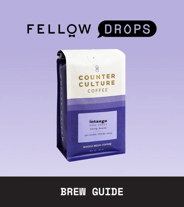 Fellow's Take on Counter Culture Intango Dark Roast | Brew Guide | Fellow