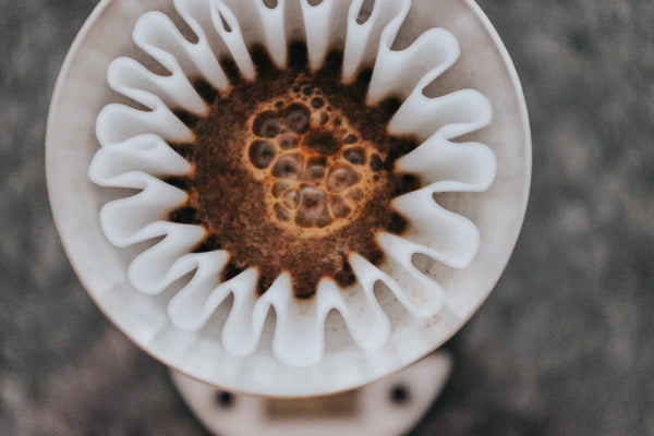 How To Use Your Five Senses To Improve Your Pour-Over | Fellow
