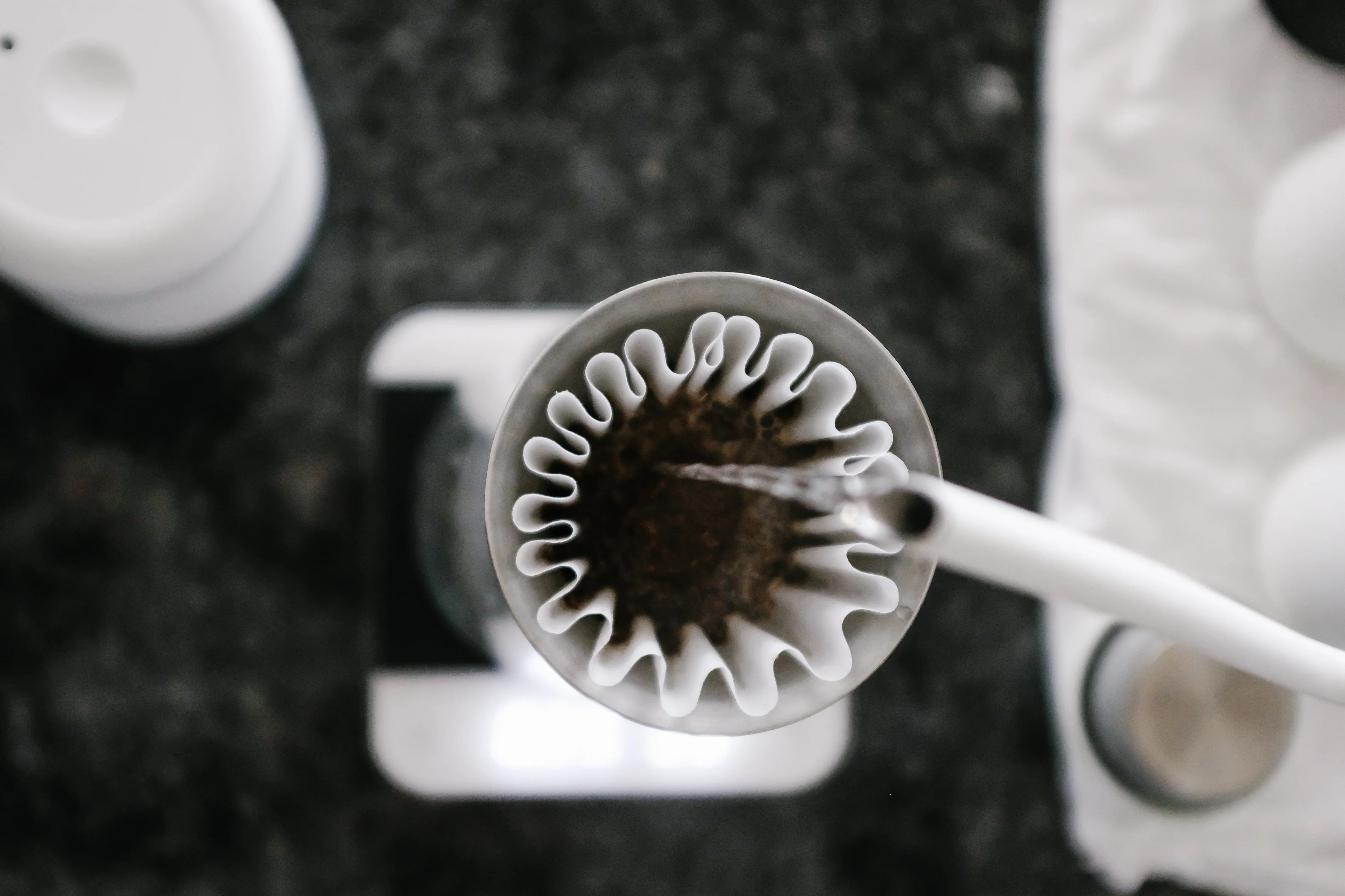 Pulse Pour Meets Agitation: Stagg [X] Dripper Recipe | Fellow