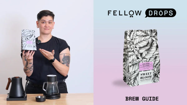 Fellow's Take on Buku Sayisa by Sweet Bloom | Brew Recipe | Fellow
