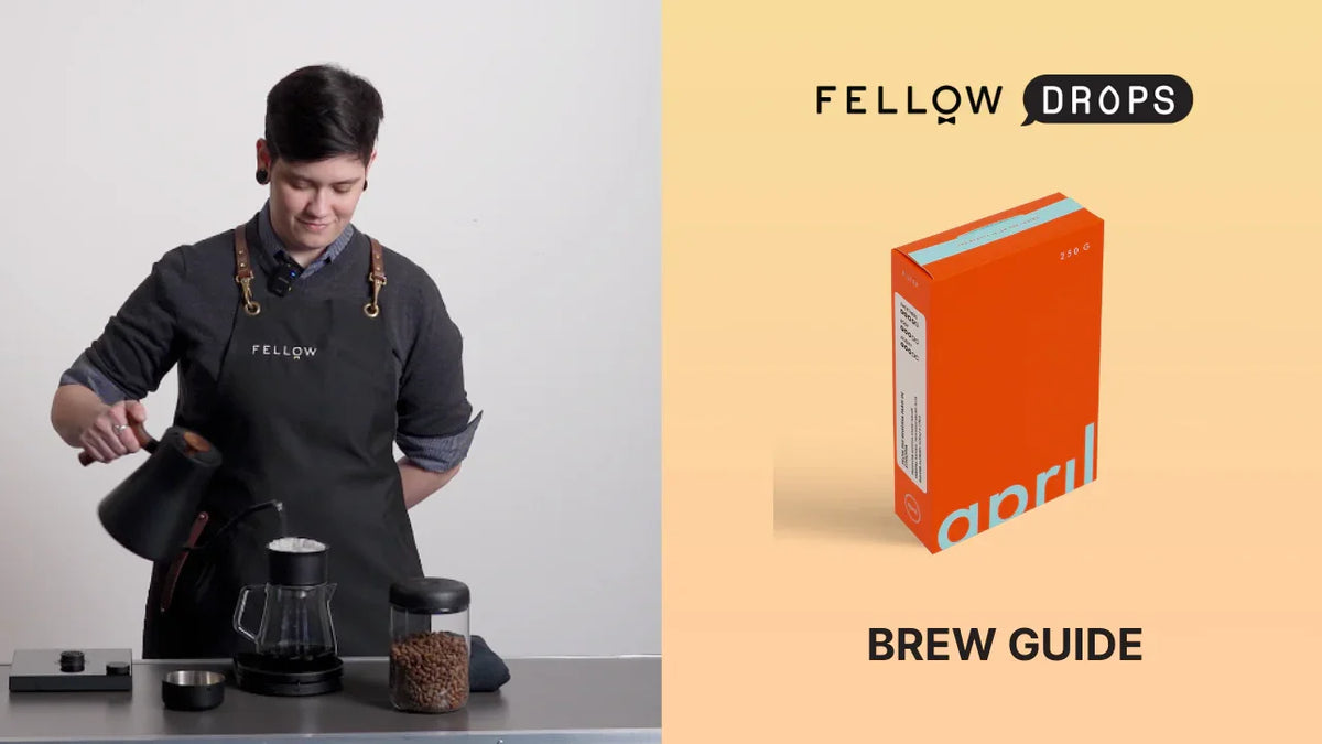 Fellow's Take on Ethiopia Regessa by April Coffee | Brew Recipe | Fellow