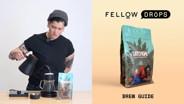 Fellow's Take on Satchibal Santi Marisol Juan Ramirez by Whiptail | Brew Recipe | Fellow