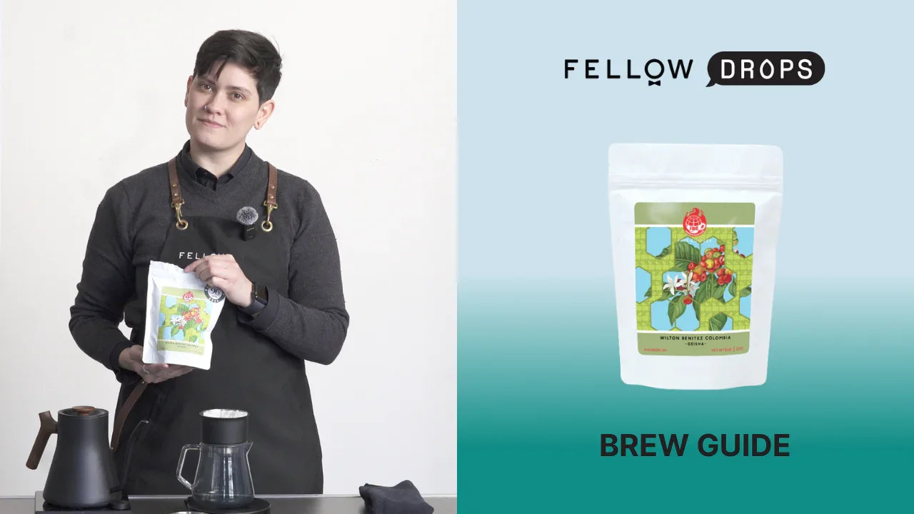 Fellow's Take on Wilton Benitez Gesha from JBC | Brew Recipe | Fellow