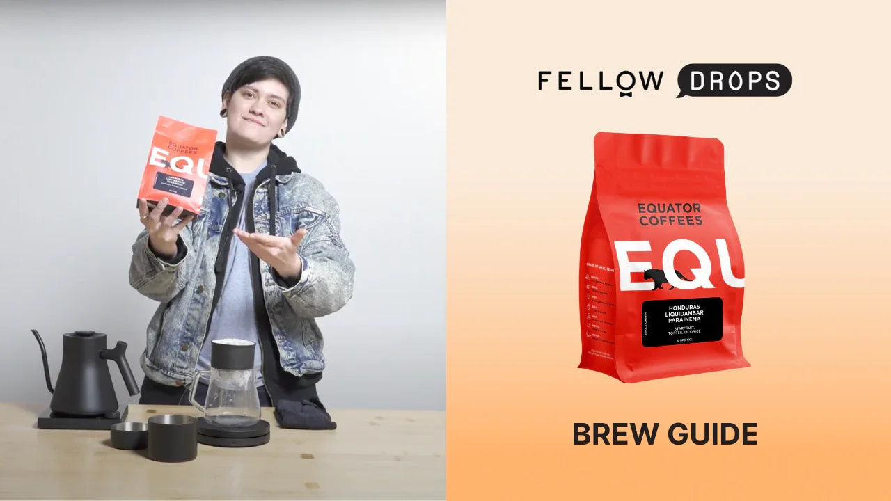 Fellow's Take On Honduras Liquidambar Parainema by Equator | Brew Recipe | Fellow