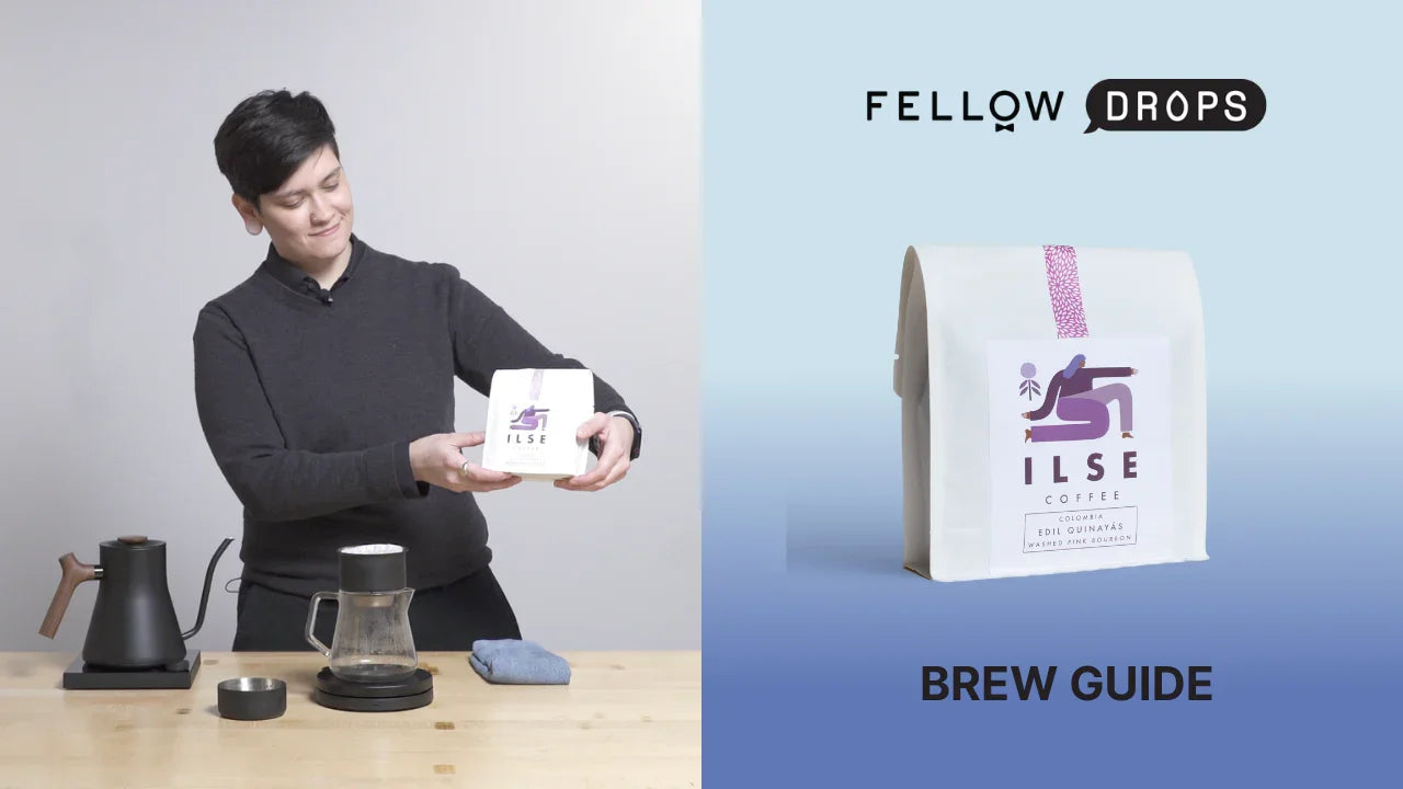 Fellow's Take on Colombia Edil Quinayás from ILSE | Brew Recipe | Fellow