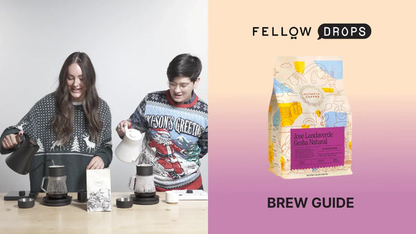 Fellow's Take On El Salvador Jose Landaverde Gesha Natural by Olympia | Brew Recipe | Fellow