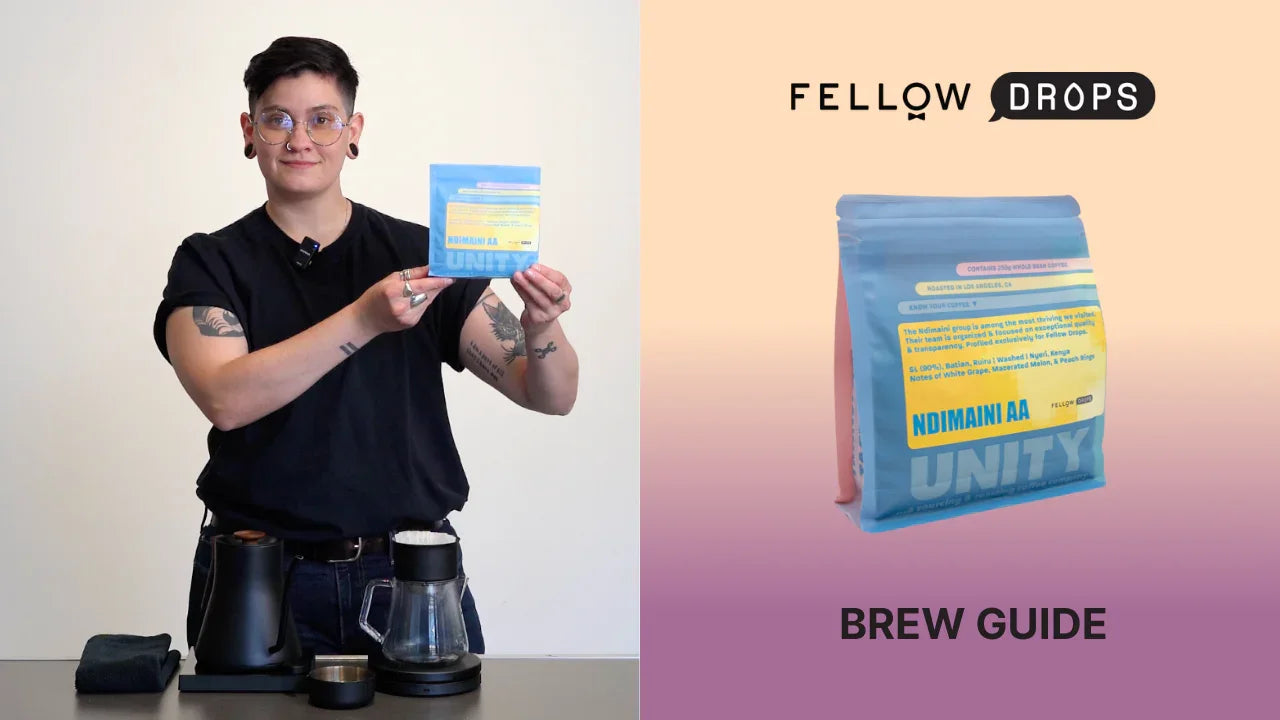 Fellow's Take on Kenya Ndimaini AA by Unity | Brew Recipe | Fellow