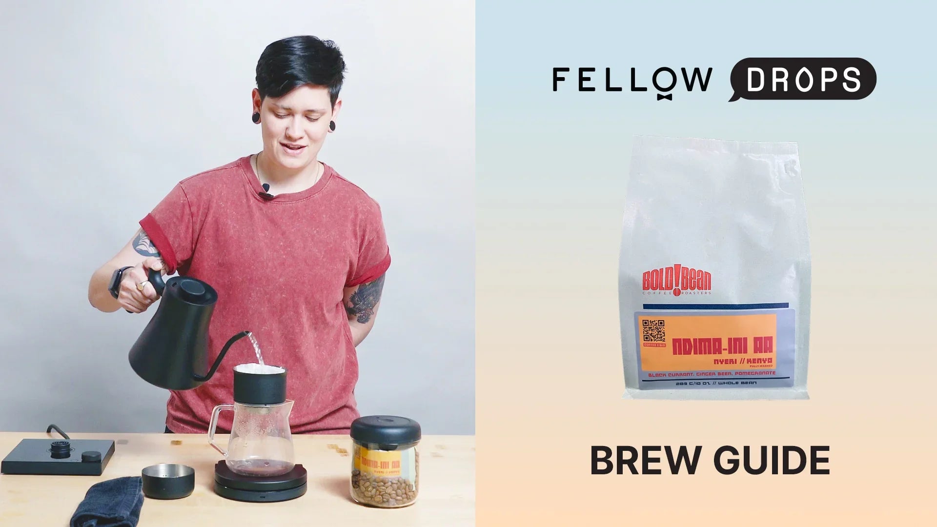 Fellow's Take On Kenya Ndima-Ini AA by Bold Bean | Brew Recipe | Fellow