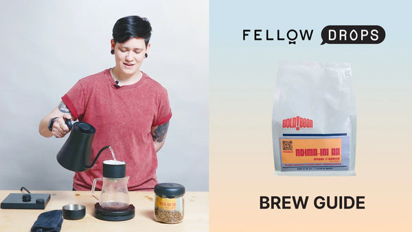 Fellow's Take On Kenya Ndima-Ini AA by Bold Bean | Brew Recipe | Fellow