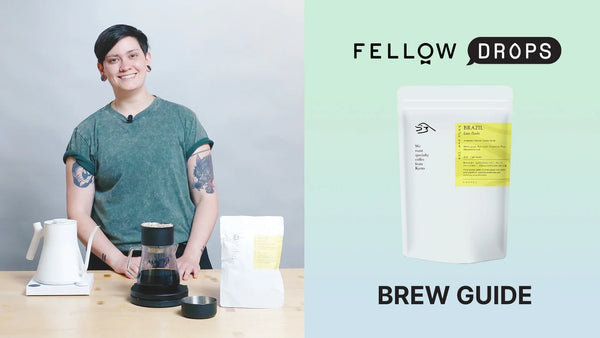 Fellow's Take On Brazil Sudan Rume Anaerobic Natural by Kurasu | Brew Recipe | Fellow