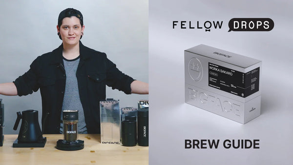 Fellow's Take On Ethiopia Worka Sakaro G1 by BIGFACE | Brew Recipe | Fellow