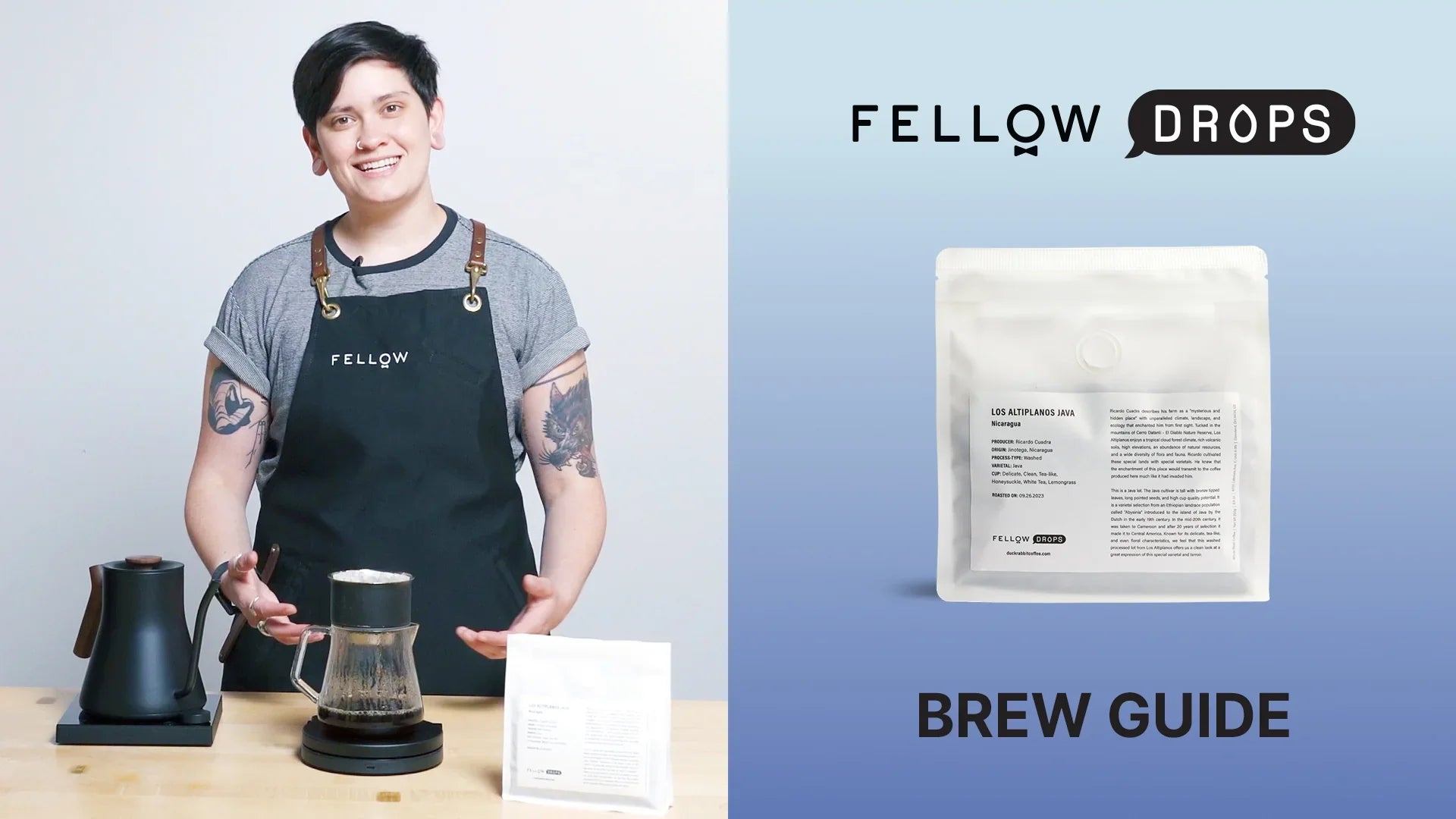 Fellow's Take On Nicaragua Los Altiplanos Java by Duck-Rabbit | Brew Recipe | Fellow