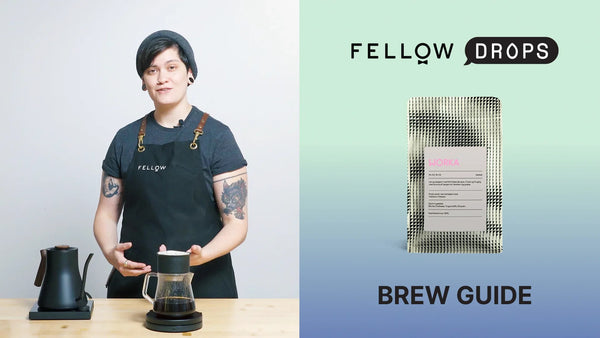 Fellow's Take On Ethiopia Worka Chelbesa by Coffee Collective | Brew Recipe | Fellow