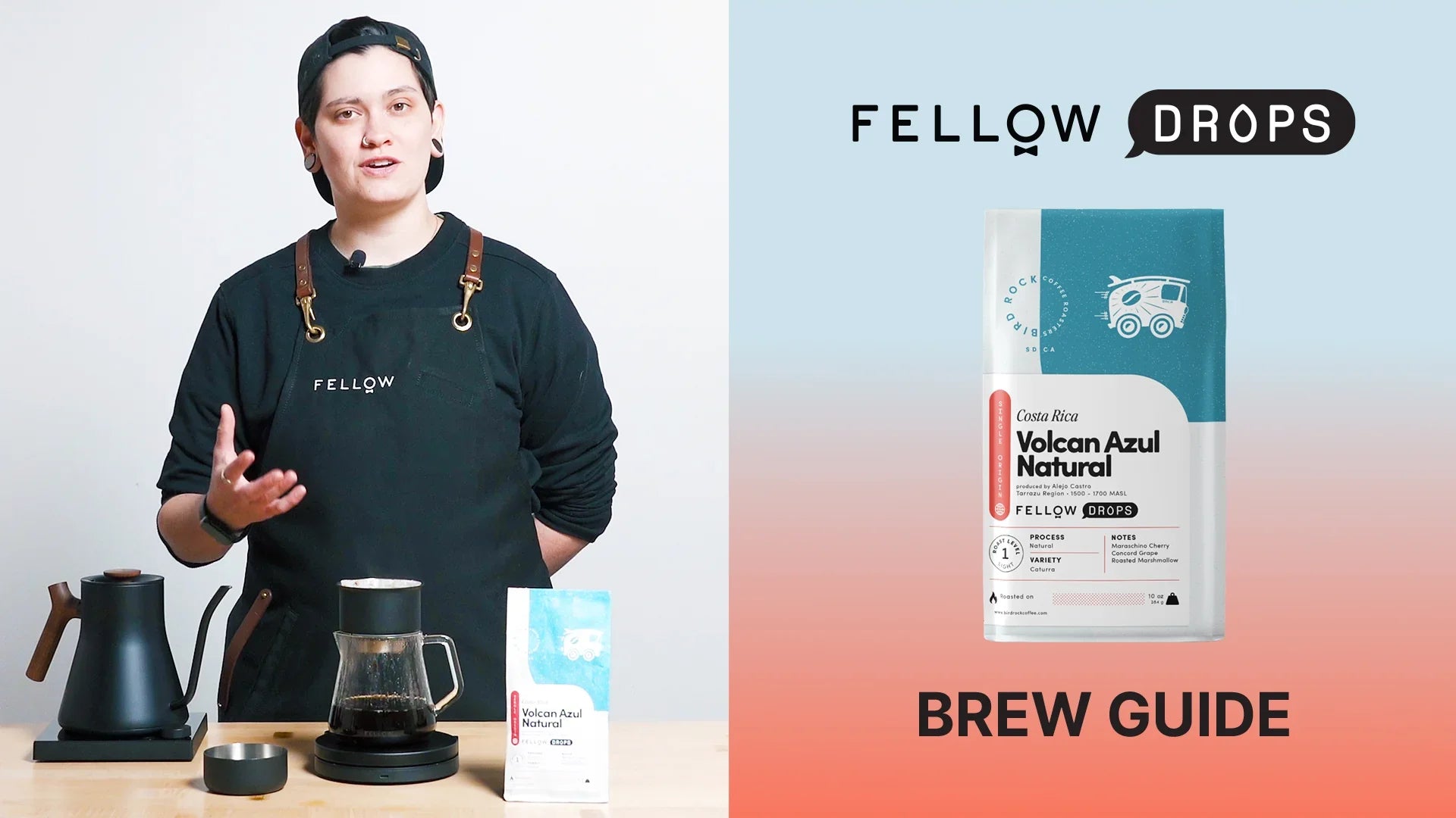 Fellow's Take On Costa Rica Volcan Azul Natural by Bird Rock | Brew Recipe | Fellow