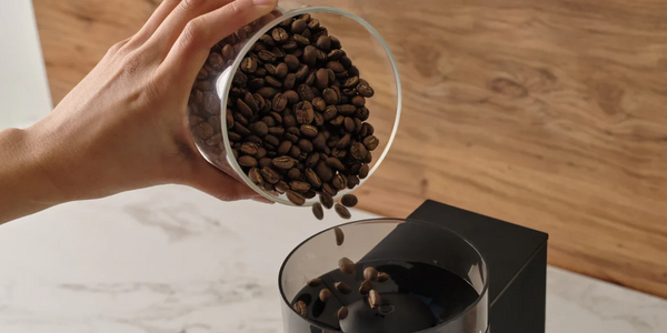 How to sustainably source coffee: a Q&A with Metric and Equator | Fellow