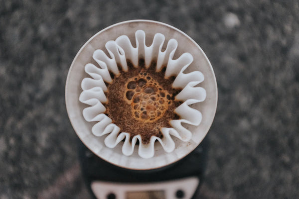 Understanding Degassing: Is Fresh Best? | Fellow
