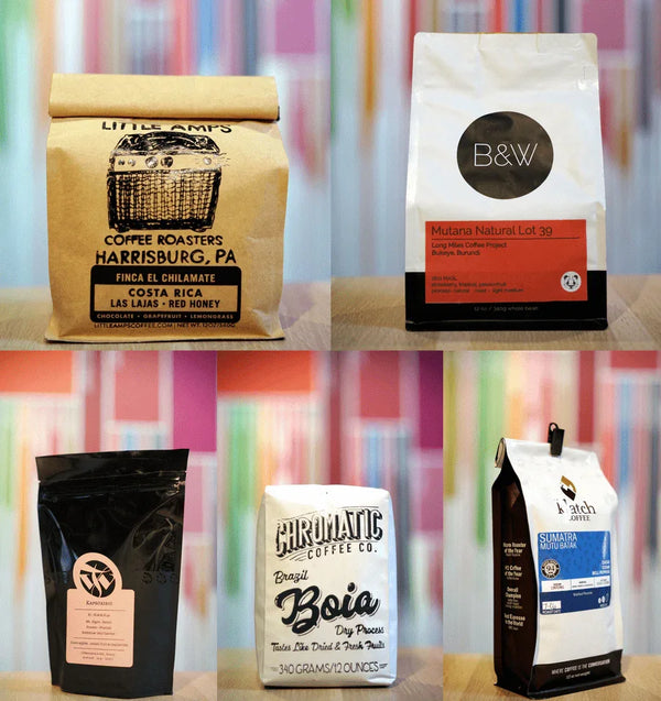The Process | August Featured Roasters | Fellow