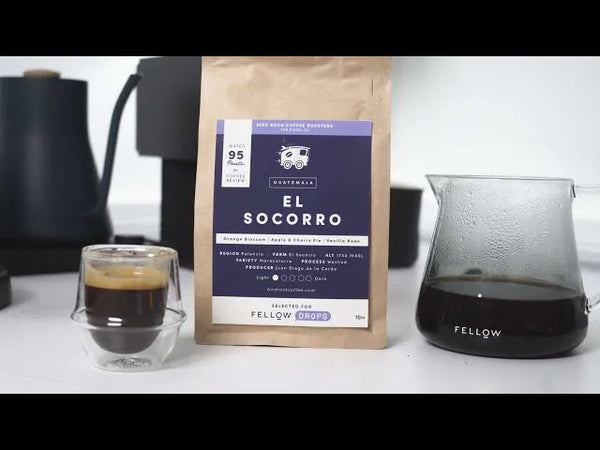 Fellow's Take on Bird Rock's El Socorro | Pour-Over + Espresso Brew Recipes | Fellow