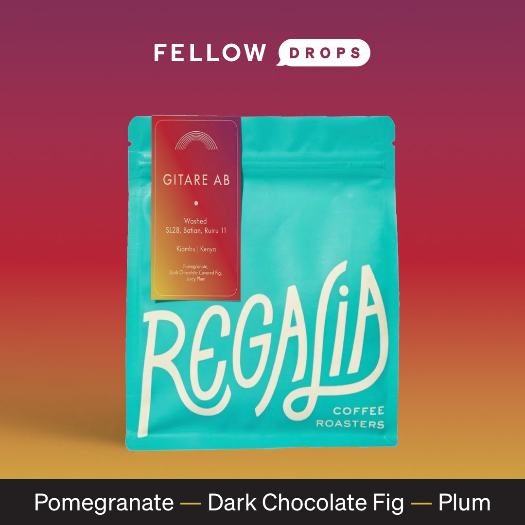 Blue Gitare AB bag by Regalia Coffee, a light Kenyan roast with pomegranate, fig & plum notes.