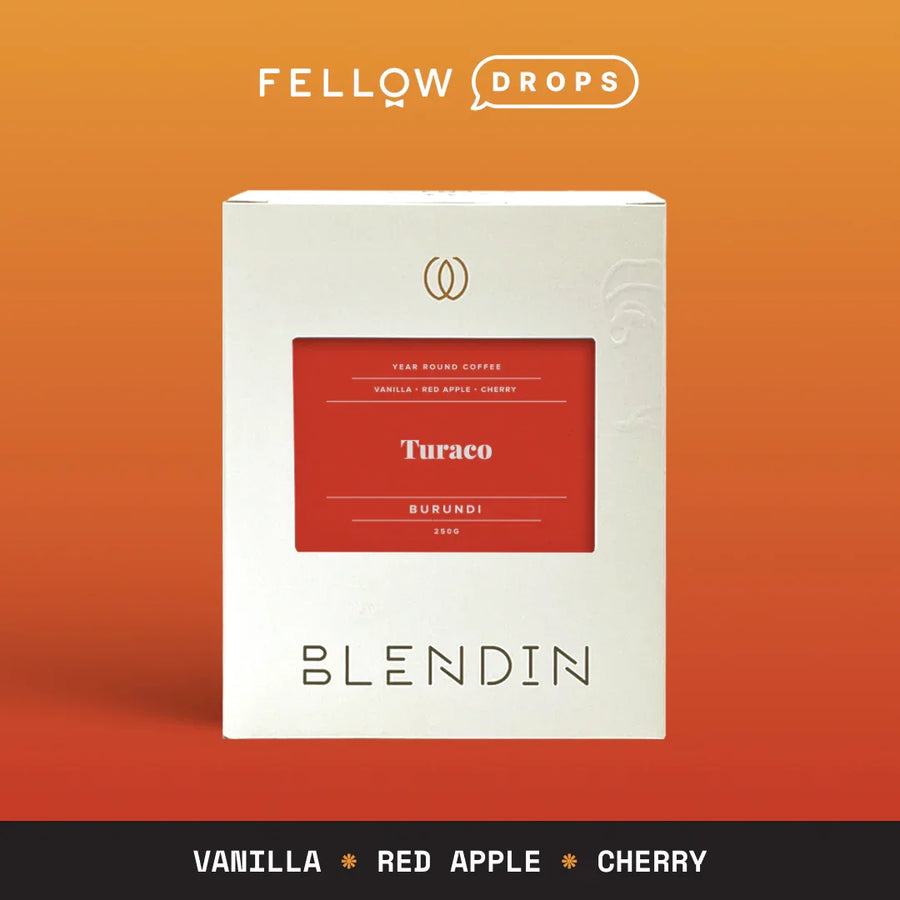 Burundi Turaco Light - Burundi Turaco Light - Default Title | Fellow - media