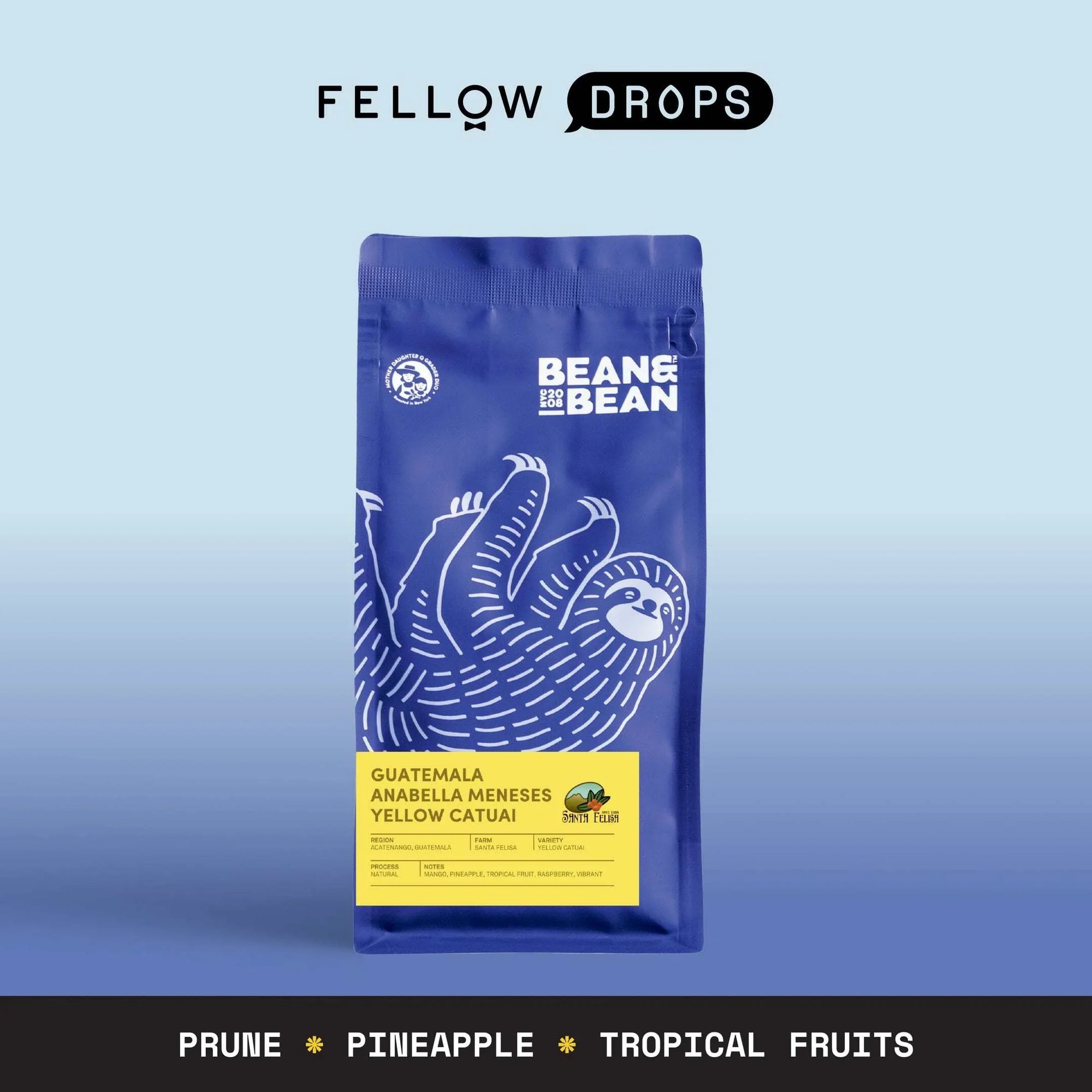 Santa Felisa - Santa Felisa - 11 oz (310 g) | Fellow