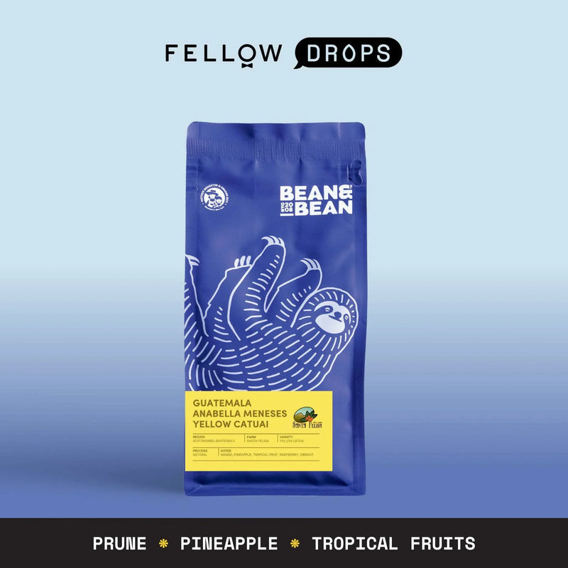 Santa Felisa - Santa Felisa - 11 oz (310 g) | Fellow