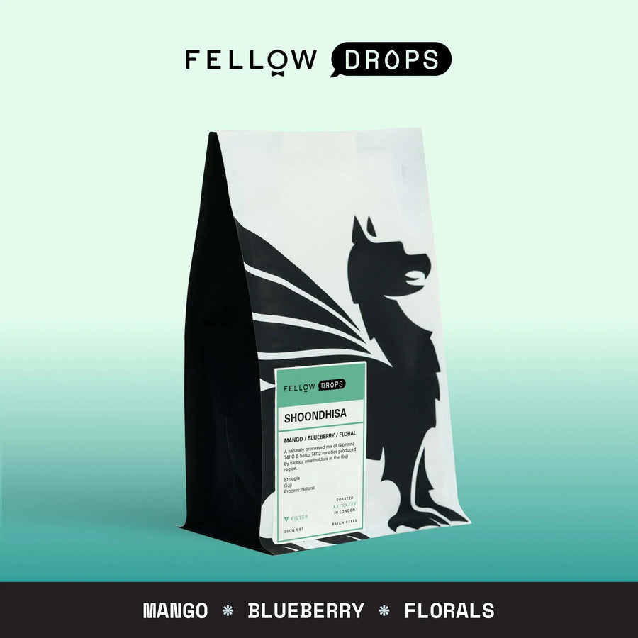 Shoondhisa - Shoondhisa - 350g (12.3 oz) | Fellow - media