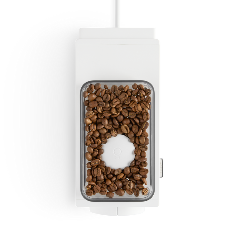 Top view of a white coffee grinder with whole coffee beans—perfect for any home barista.