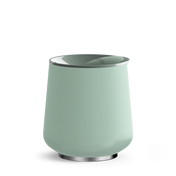 Mint Chip / 12 oz