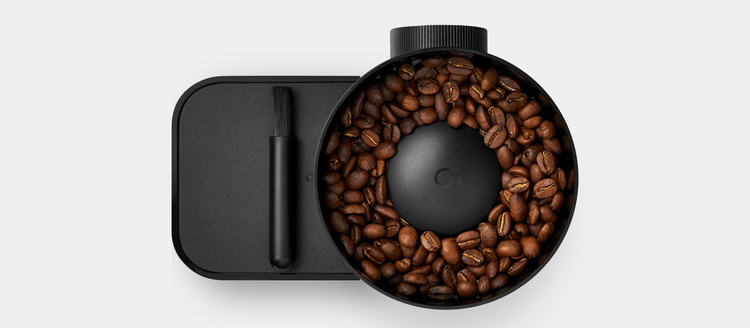 Opus 2 Conical Burr Grinder Gear Guide