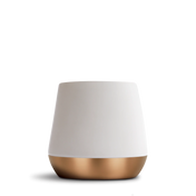 Matte White / Big Jo 12 oz