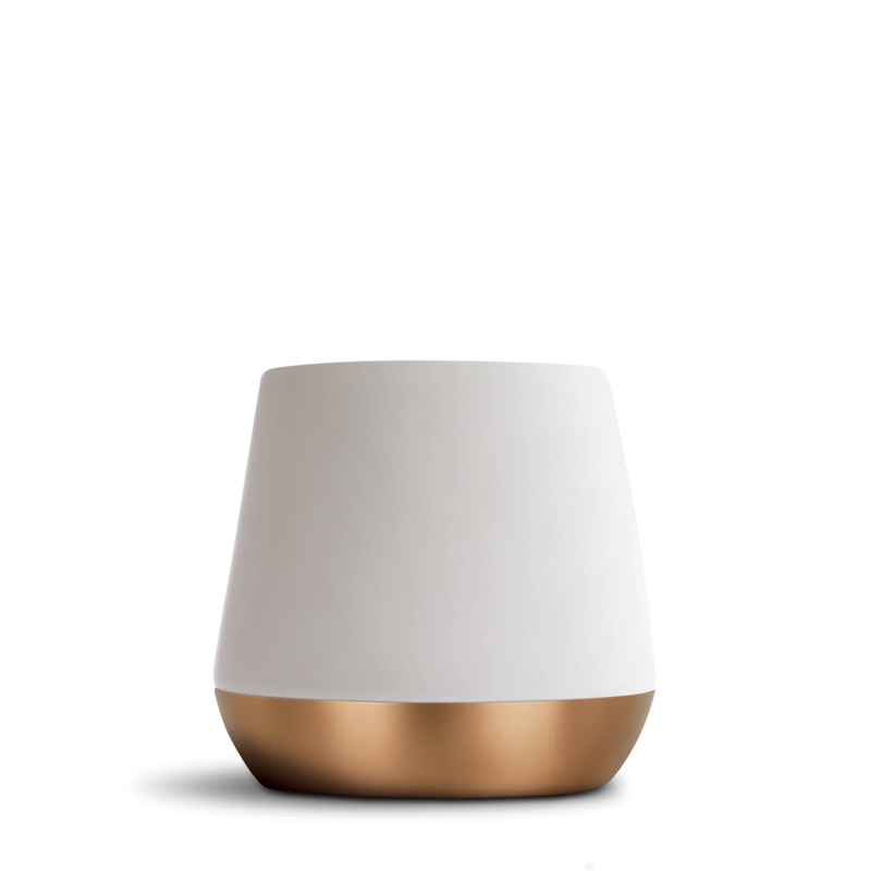 Joey Double Wall Ceramic Mugs - Joey Double Wall Ceramic Mugs - Matte White / Big Jo 12 oz | Fellow