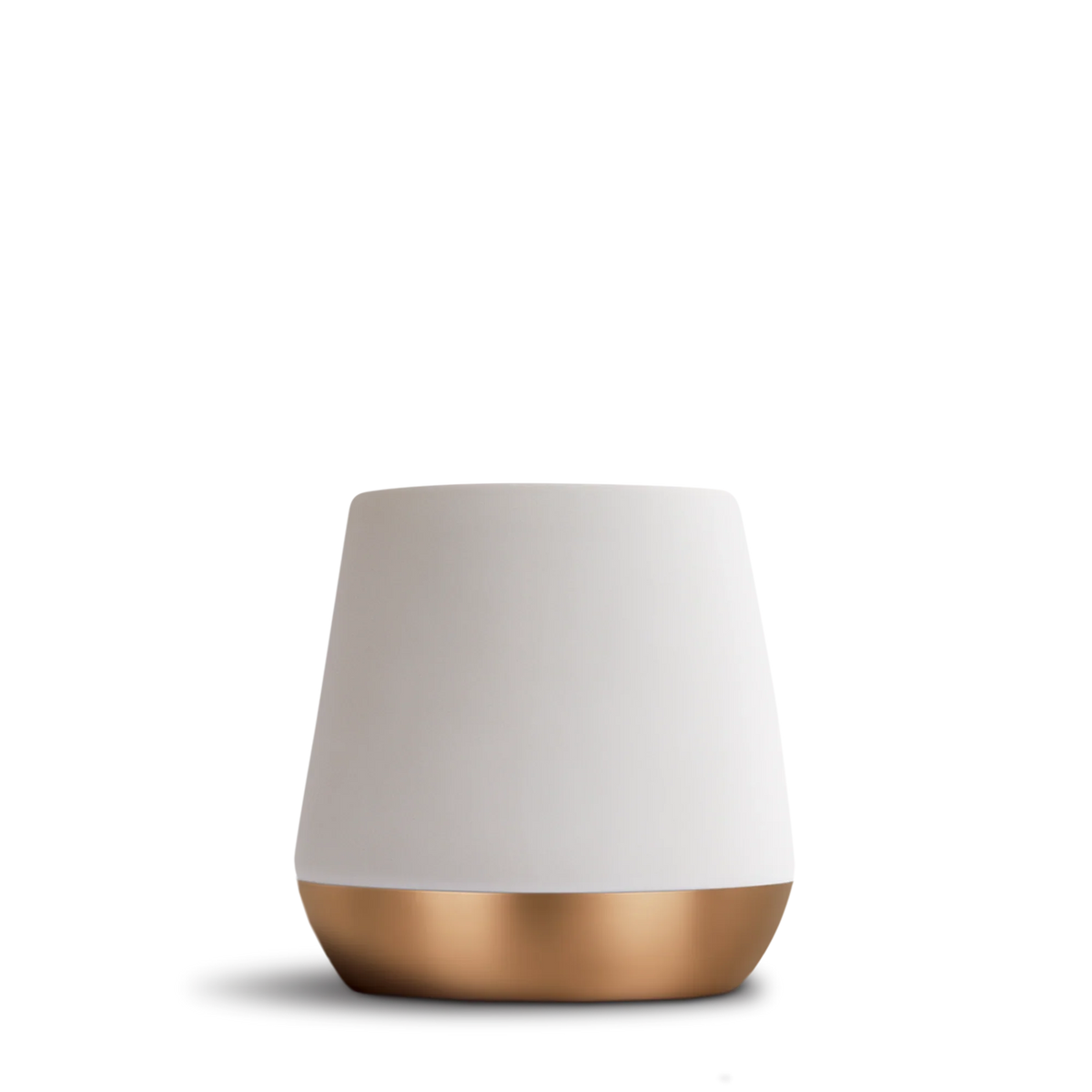 Joey Double Wall Ceramic Mugs - Joey Double Wall Ceramic Mugs - Matte White / Joey 8 oz | Fellow