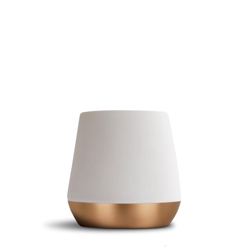 Joey Double Wall Ceramic Mugs - Joey Double Wall Ceramic Mugs - Matte White / Joey 8 oz | Fellow